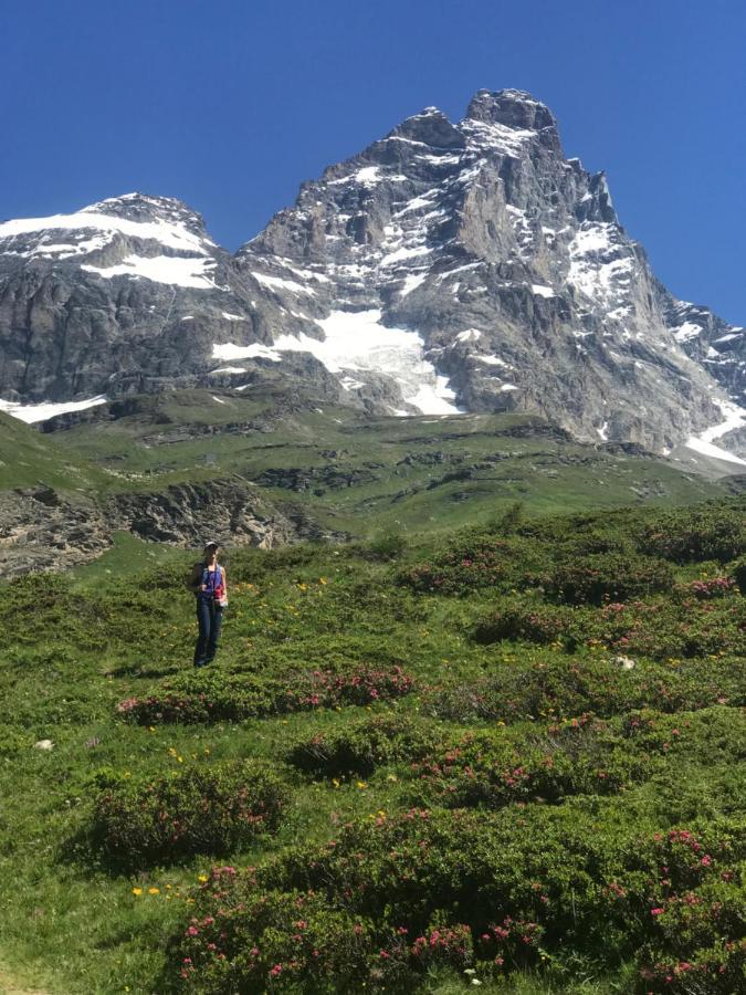 Piccolo Paradiso In Centro Cervinia Breuil-Cervinia Dış mekan fotoğraf